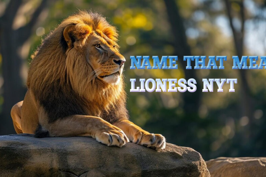 name that means lioness nyt