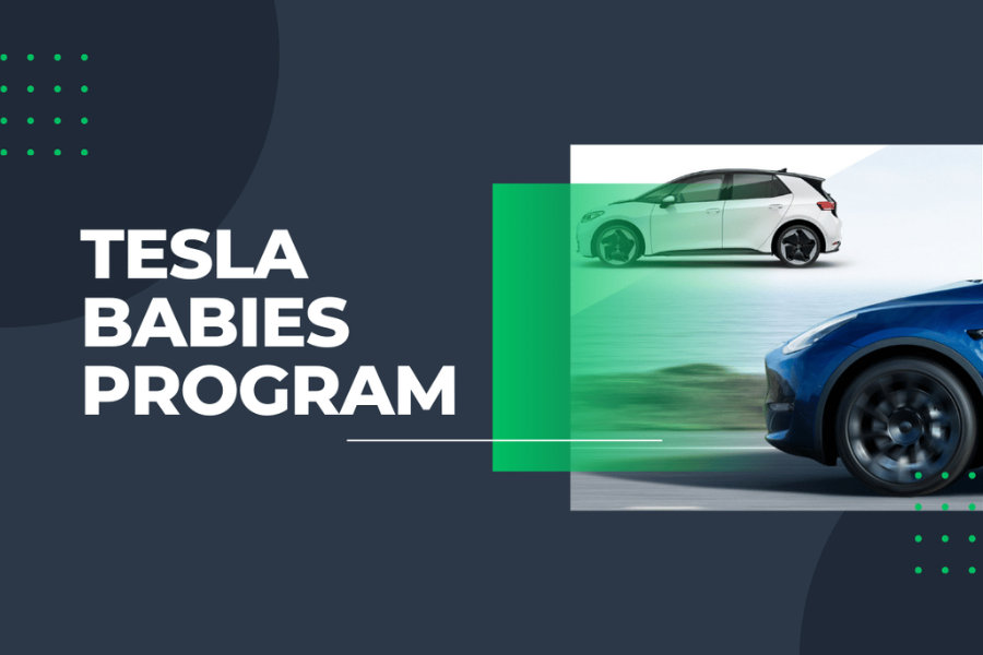 tesla babies program